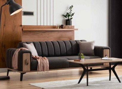 Stylish three-seater modern living room furniture gray wooden furniture couches